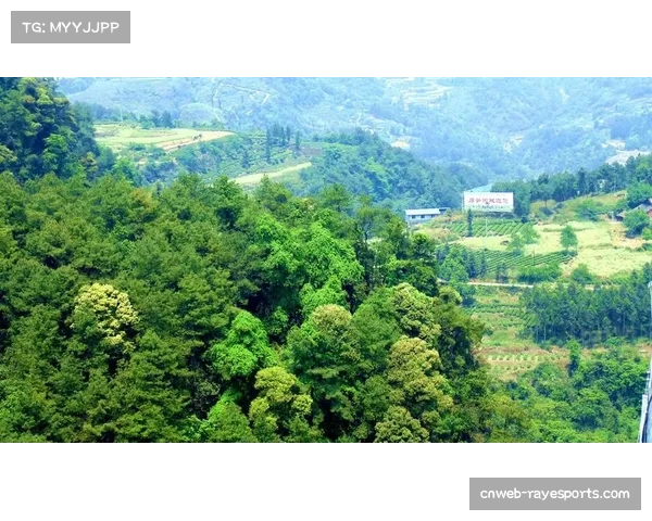 生态优先理念下的赛道建设：高石梯省级森林公园外围林区的保护与利用